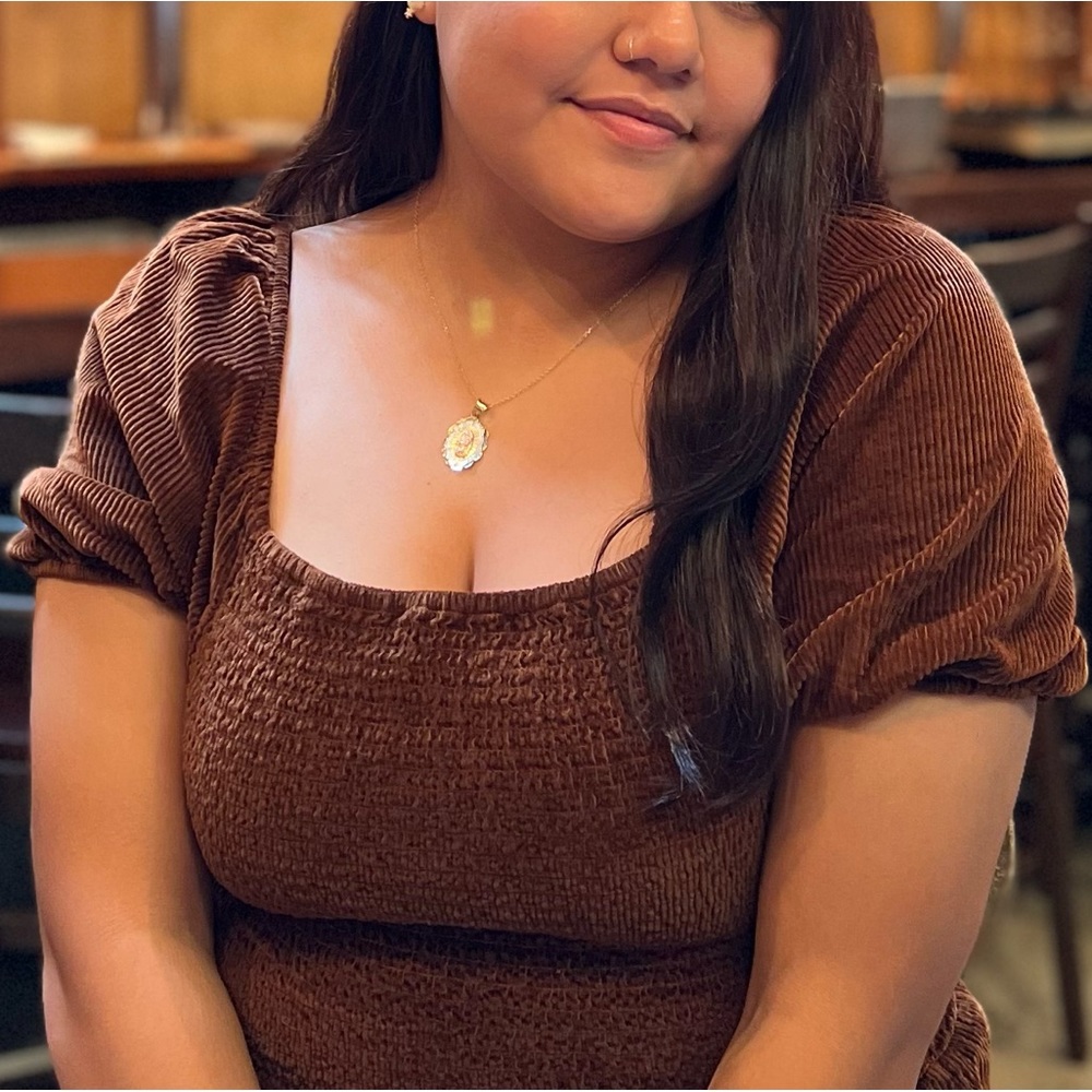 AMERICAN EAGLE Brown Puff Sleeve Blouse
